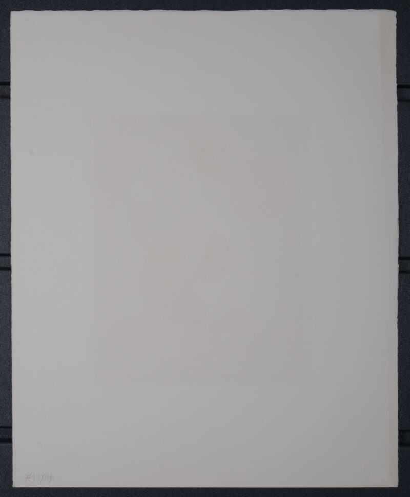 Dsc 1029 5