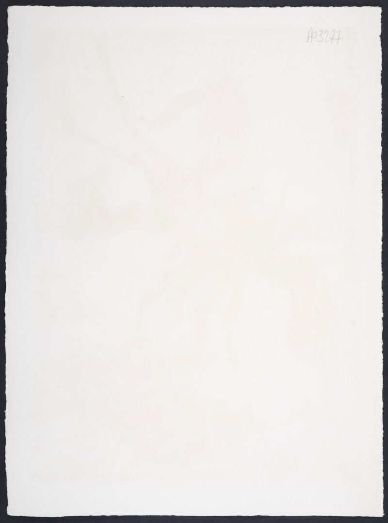 Dsc 5674 5