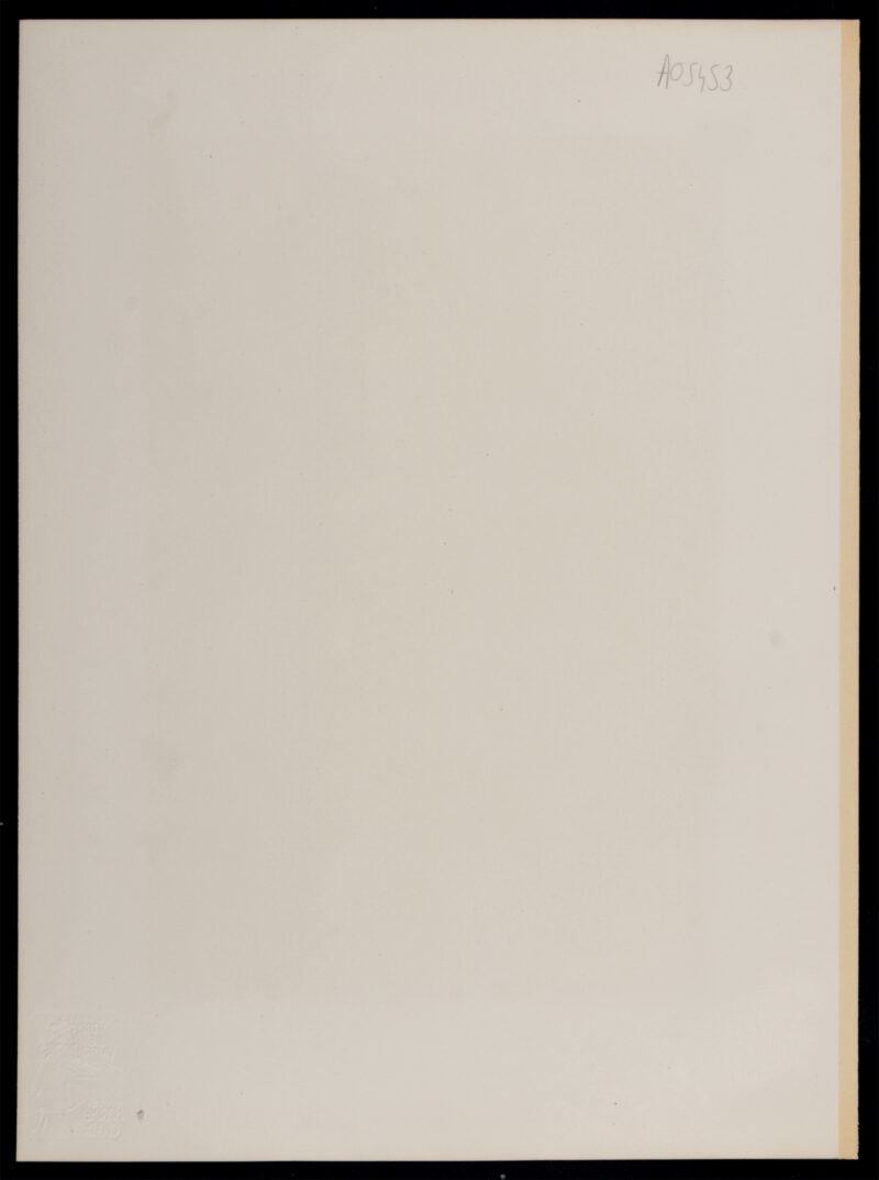 Dsc 6298a 6