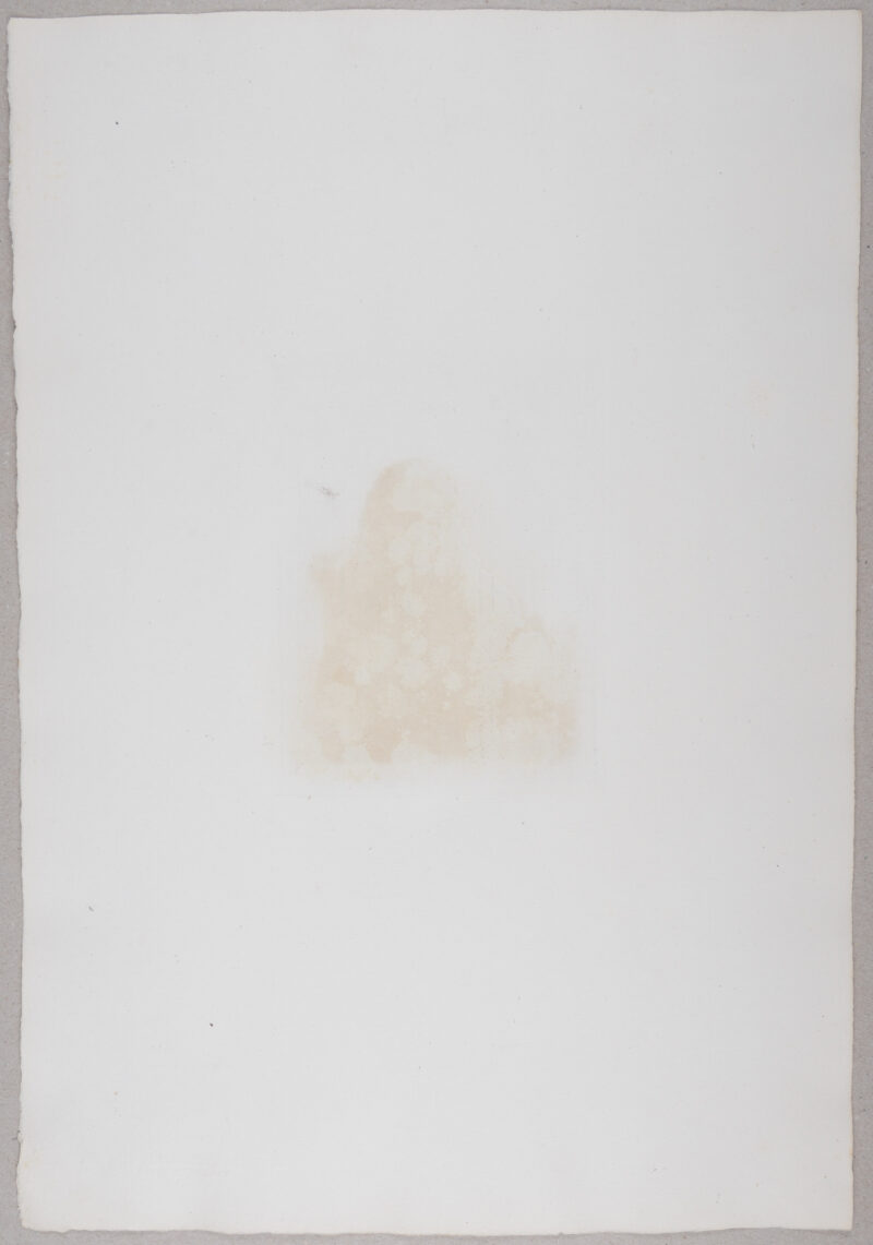 Dsc 6780 6