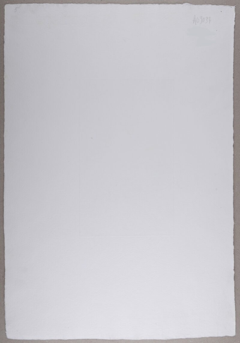 Dsc 6871 6