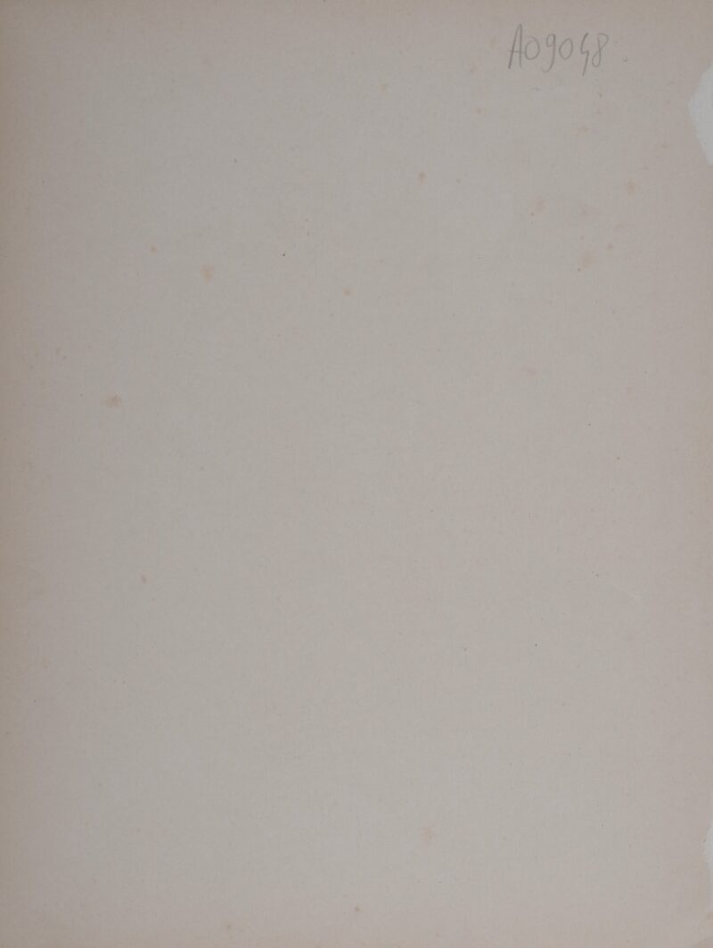 Dsc 6969 5