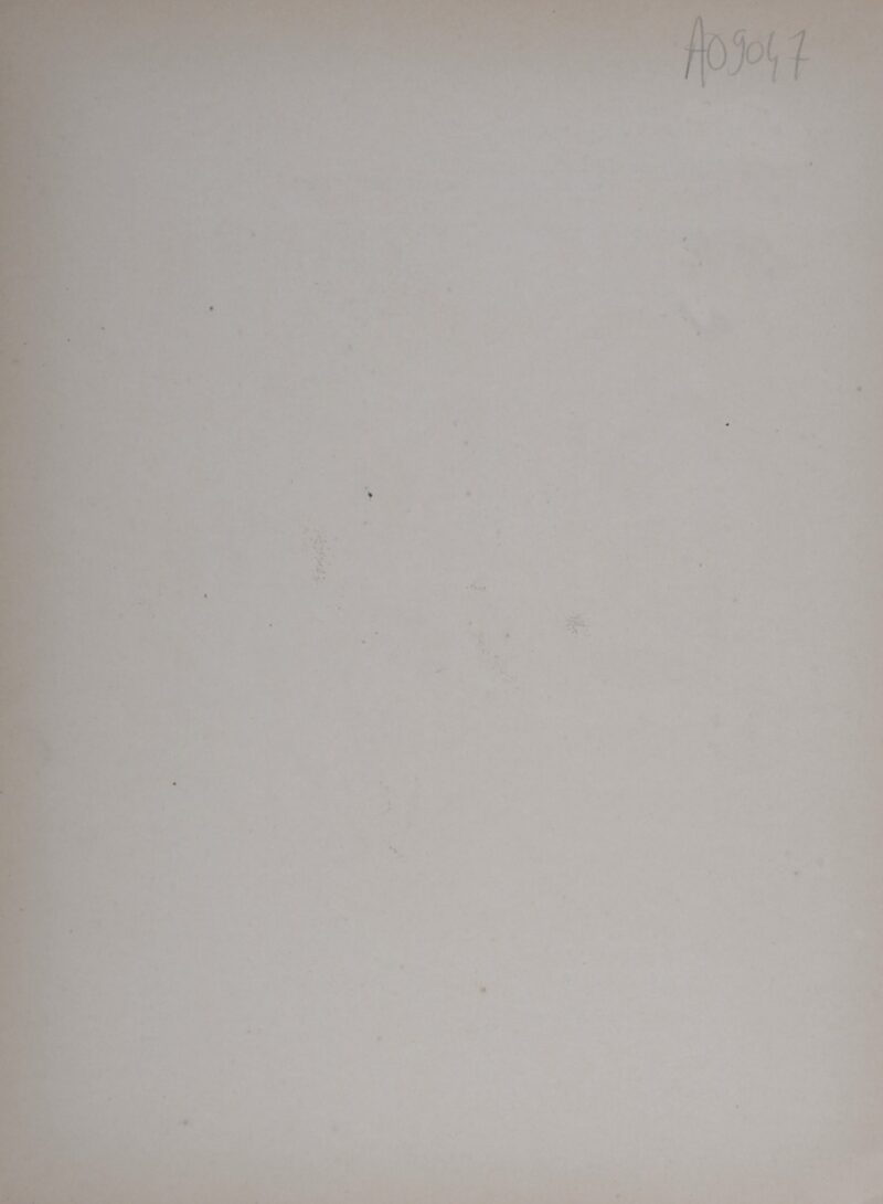 Dsc 6973 5