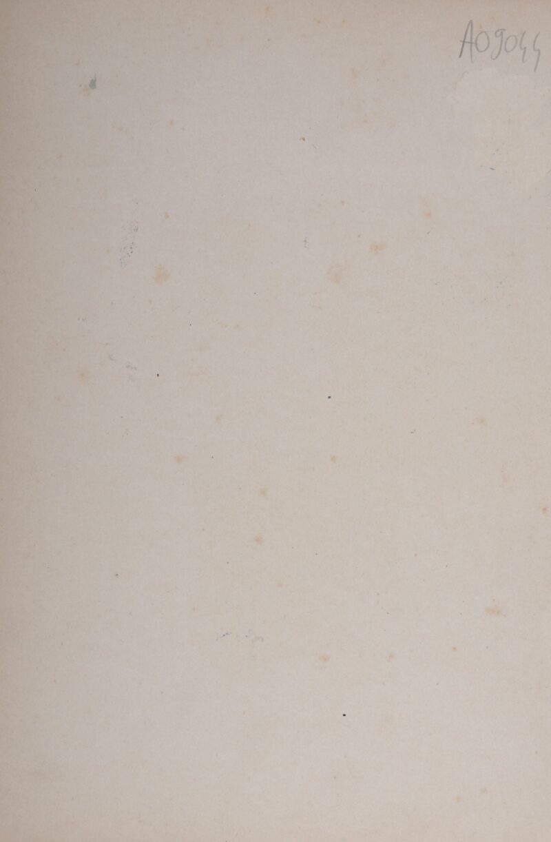 Dsc 6975 5