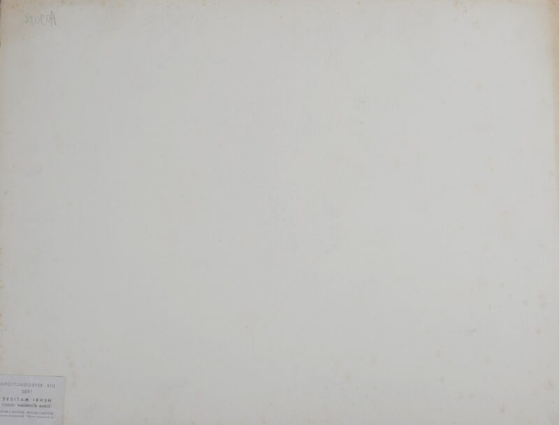 Henri Matisse : Scène d'intérieur, 1933 – Image 4