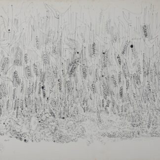Dsc 7179 1