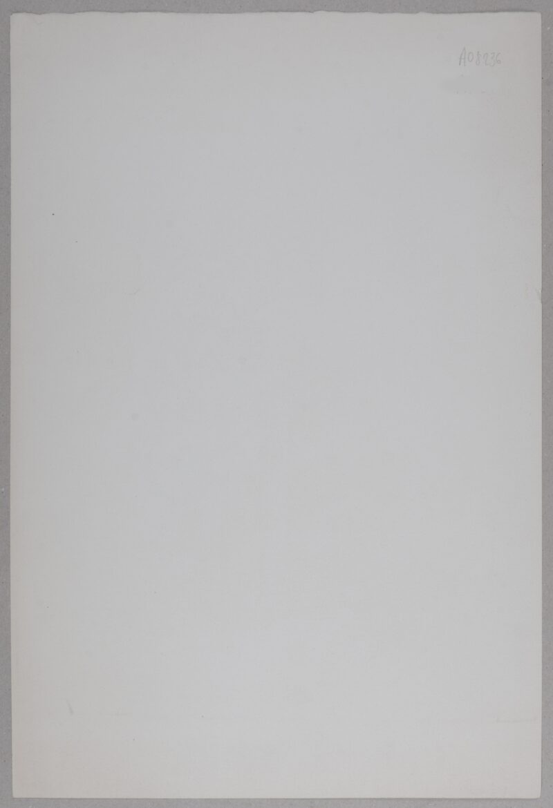 Dsc 4710 6