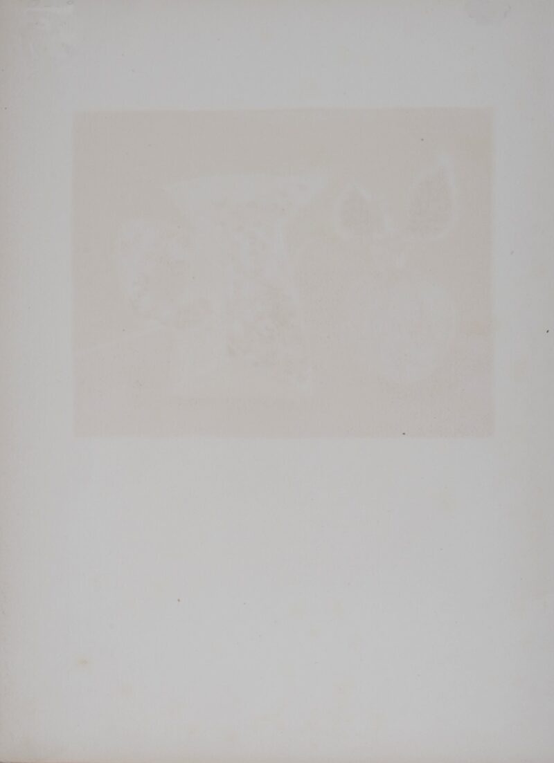 Dsc 7276 5