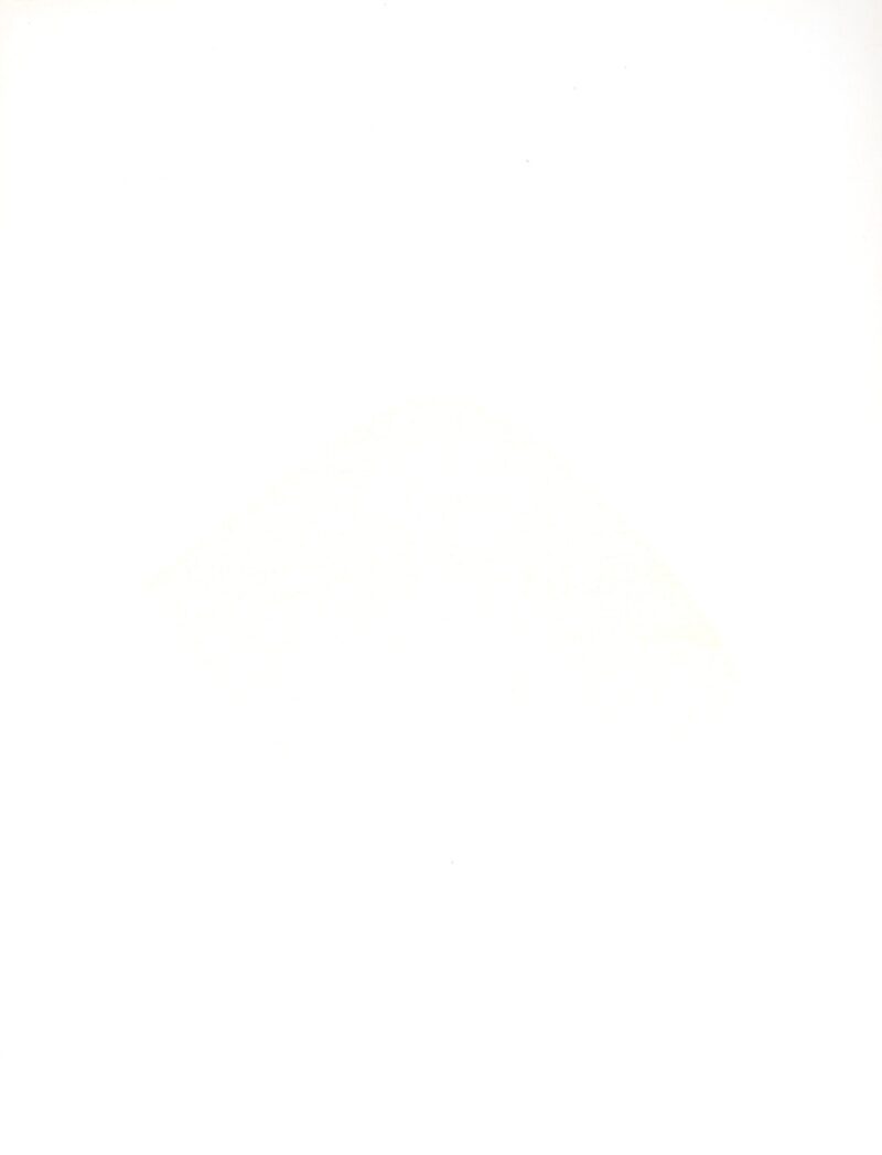 Dsc 7564 4