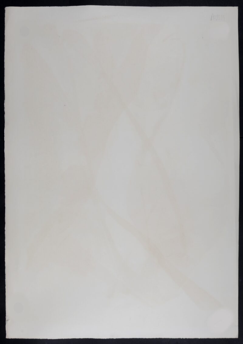 Dsc 7869 6