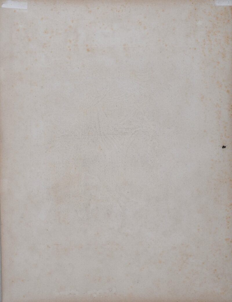 Dsc 8055 4