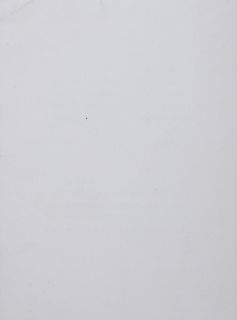Dsc 8236 8