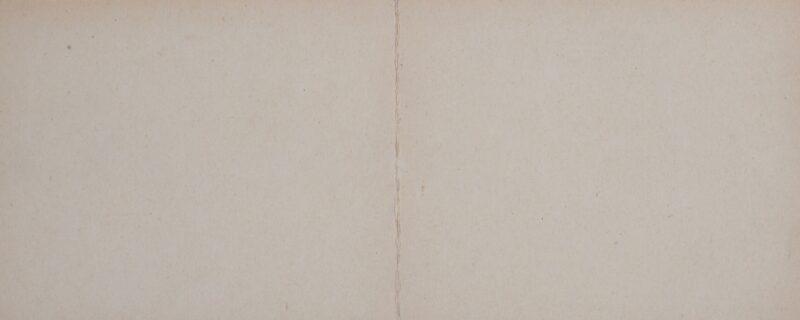 Dsc 8247 8