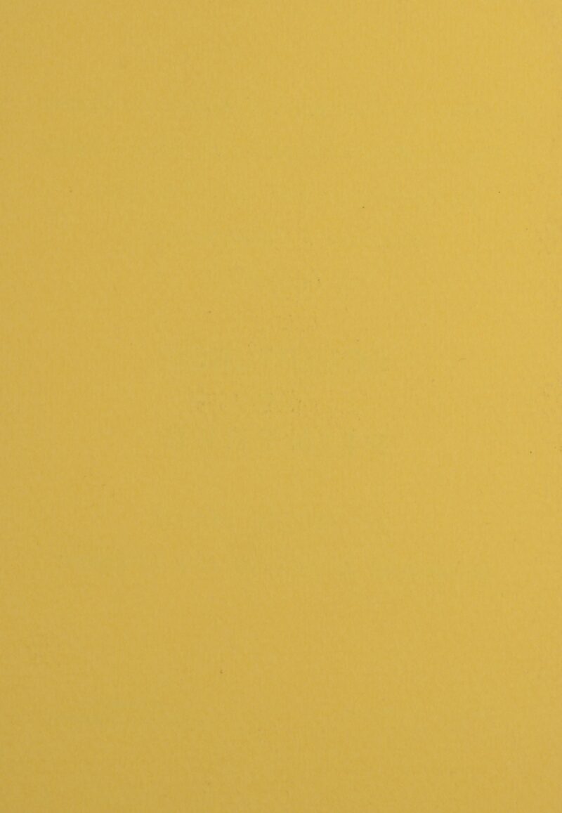 Dsc 8273 10