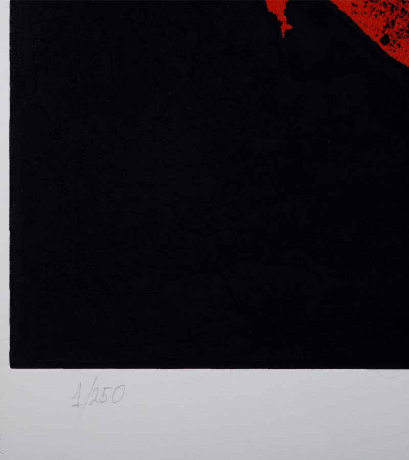 Dsc 8399 5