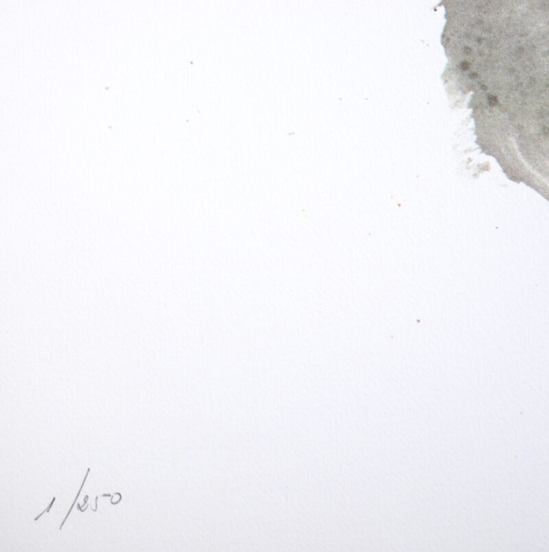 Dsc 8436 4