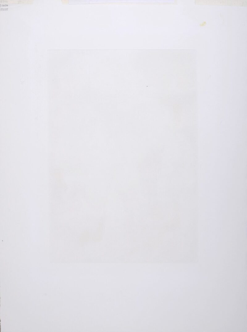 Dsc 8529 6