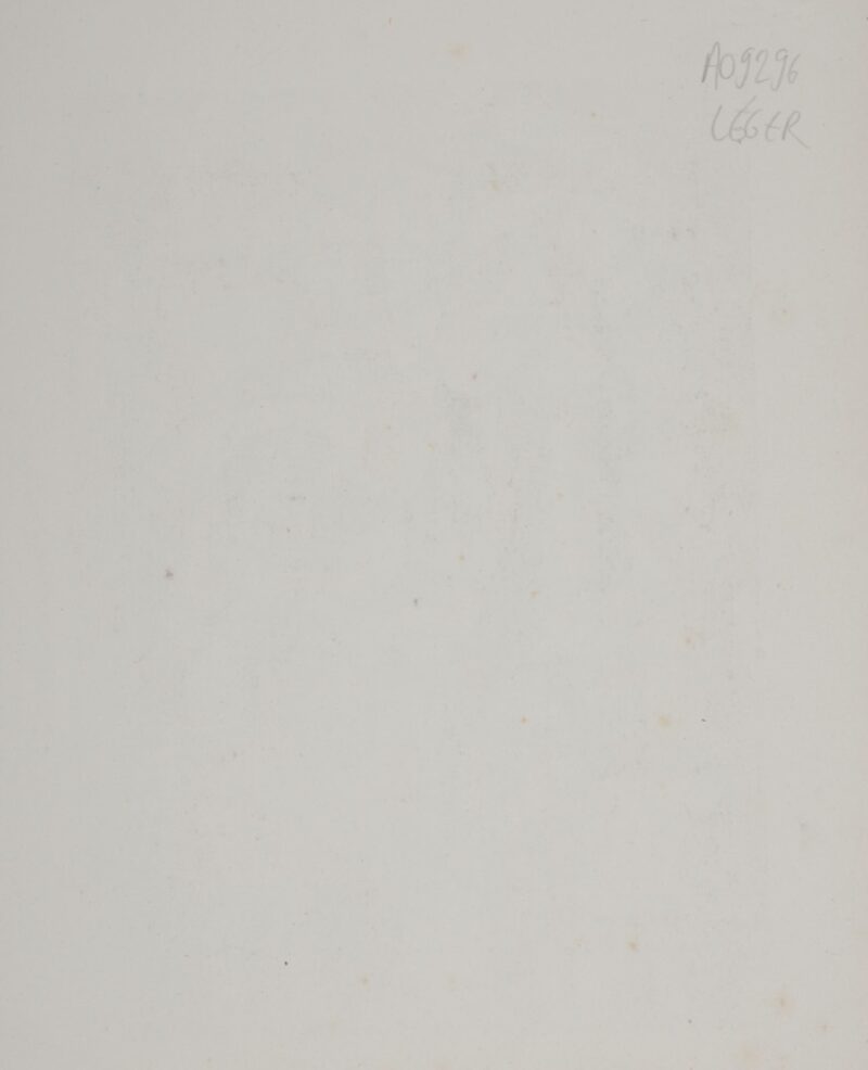 Dsc 8538 5.pg