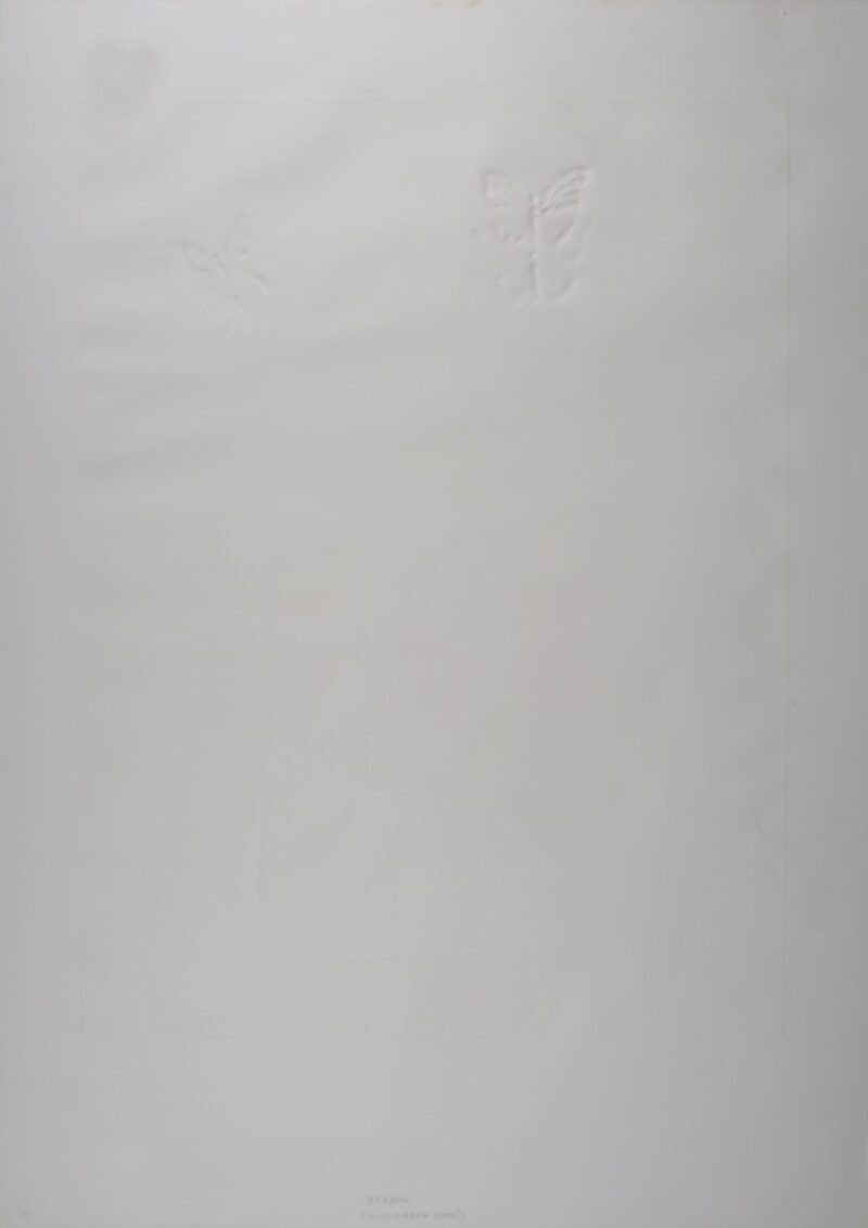 Dsc 8593 8