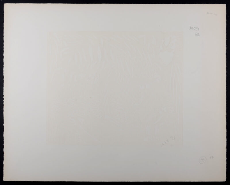 Dsc 8604 6