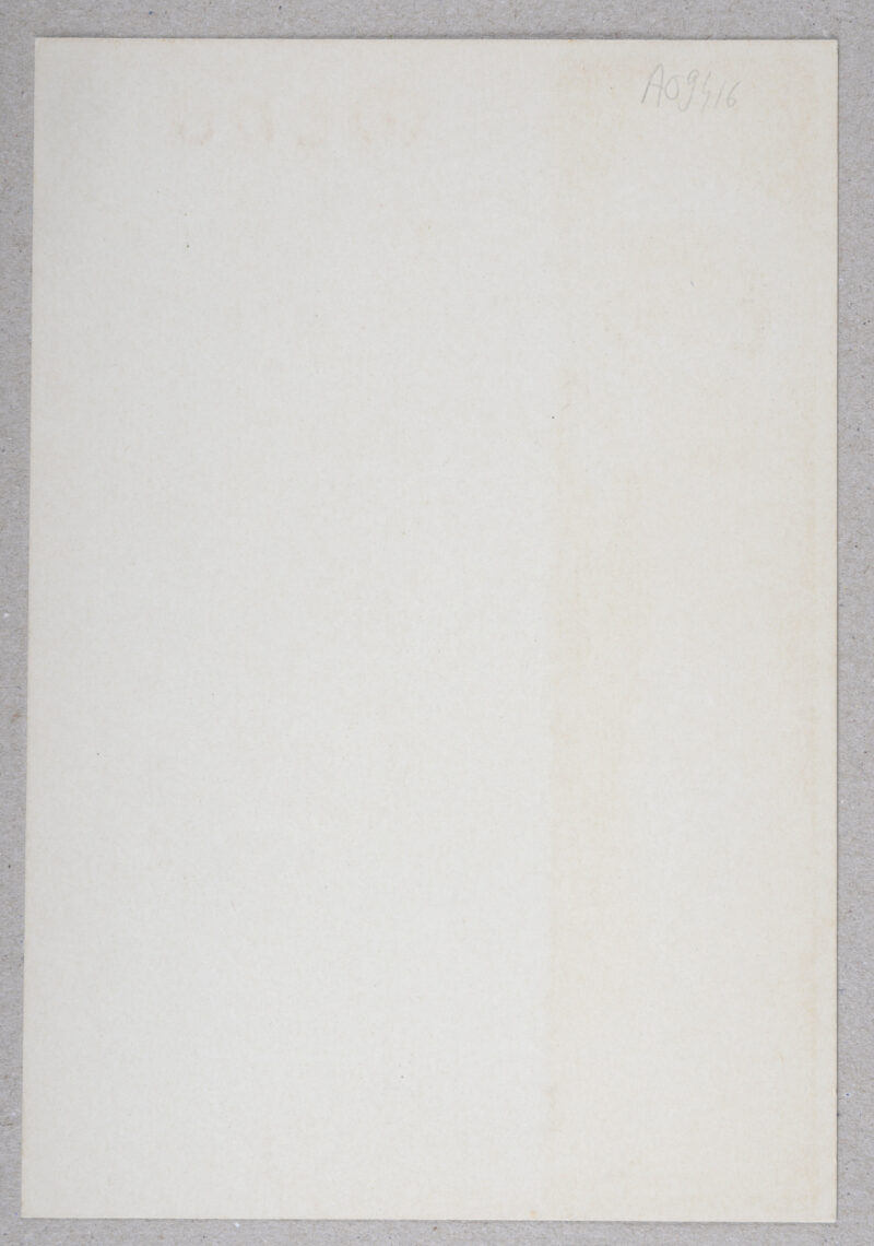 Dsc 8764 13