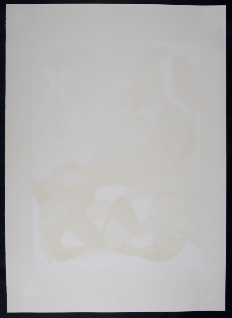 Dsc 8900 7