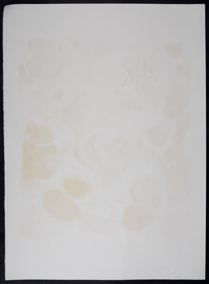 Dsc 8909 6