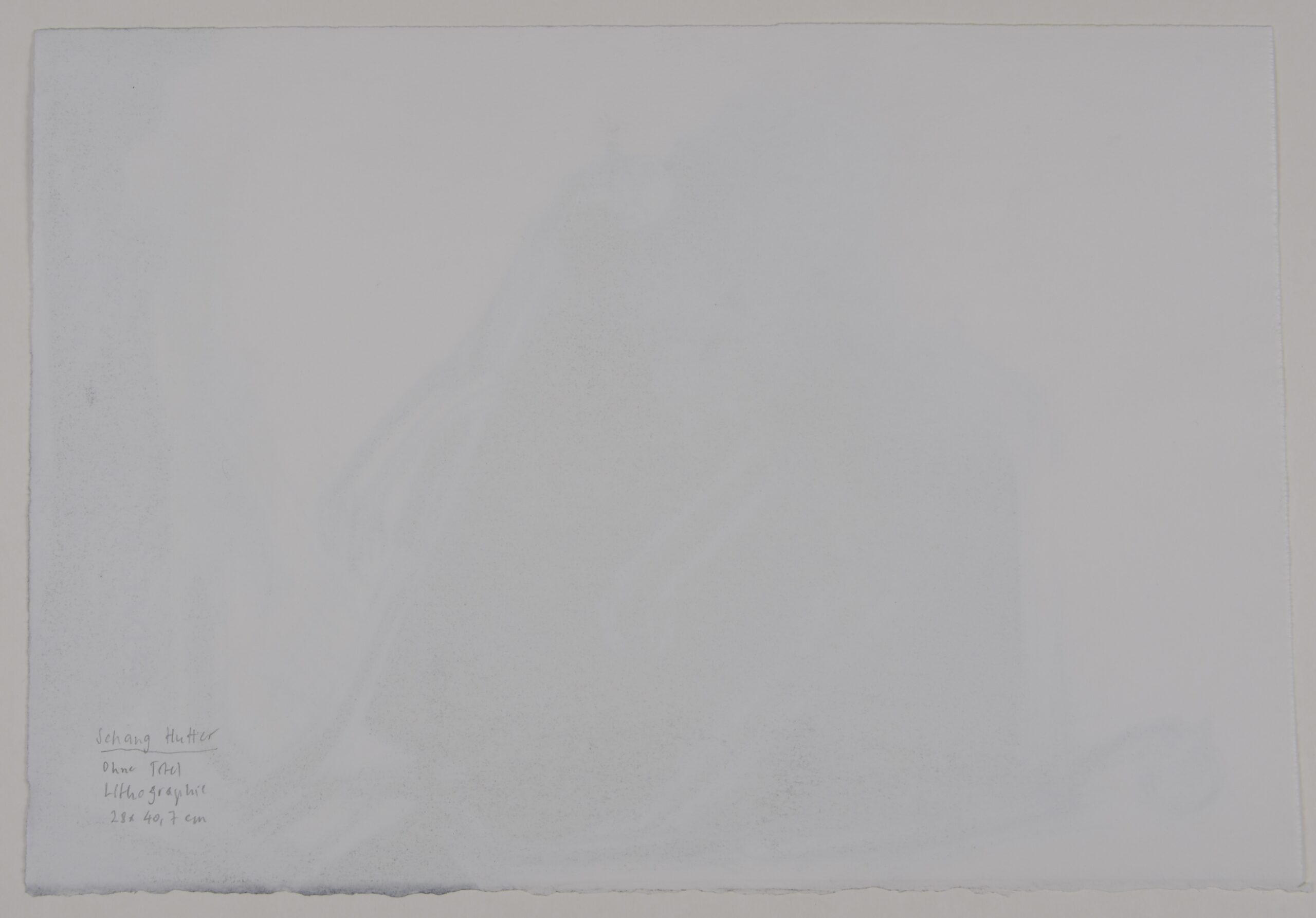 Schang Hutter : Sans titre, circa 1999 – Image 6