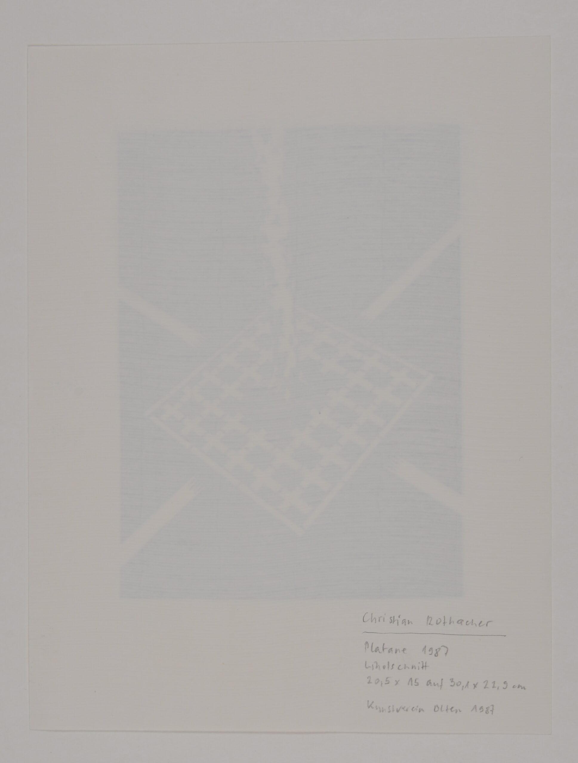 Christian Rothacher : Platane, 1987 – Image 6