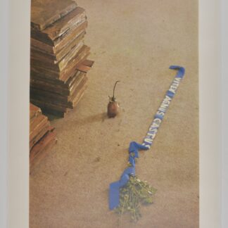 Joseph Beuys (1921–1986) Vitex Agnus Castus, 1973 Offset sur papier. Tirage à 1 000 exemplaires, signé et numéroté à la main 238/1000 en bord inférieur.