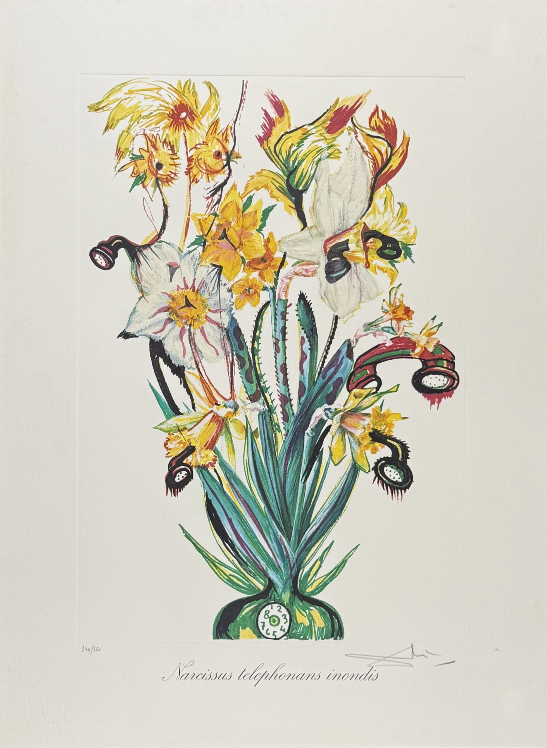 in Albert Field's catalogue of Dalí's graphic works.