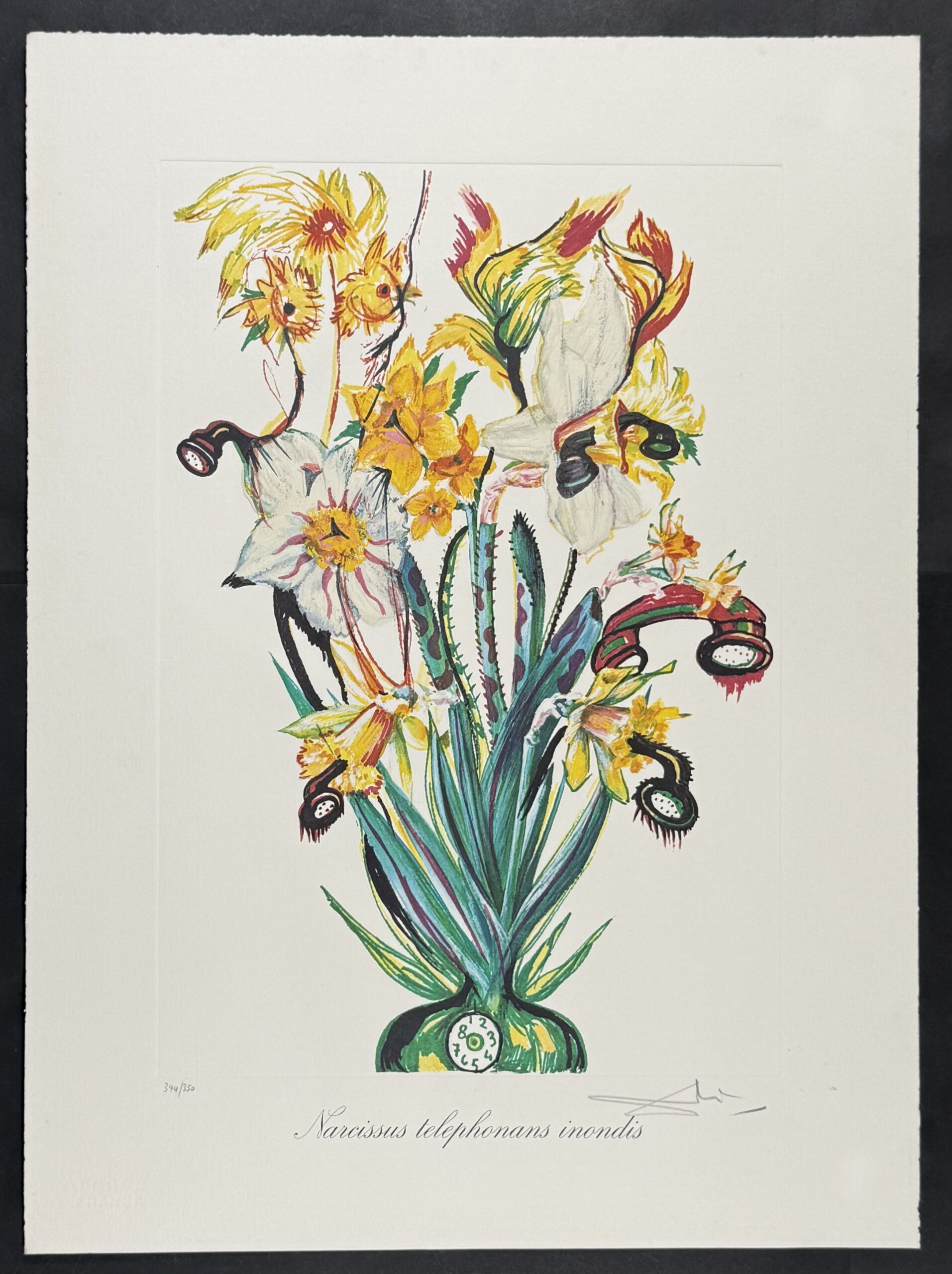 Salvador Dali- Narcissus telephonans inondis, 1972 - Image 2