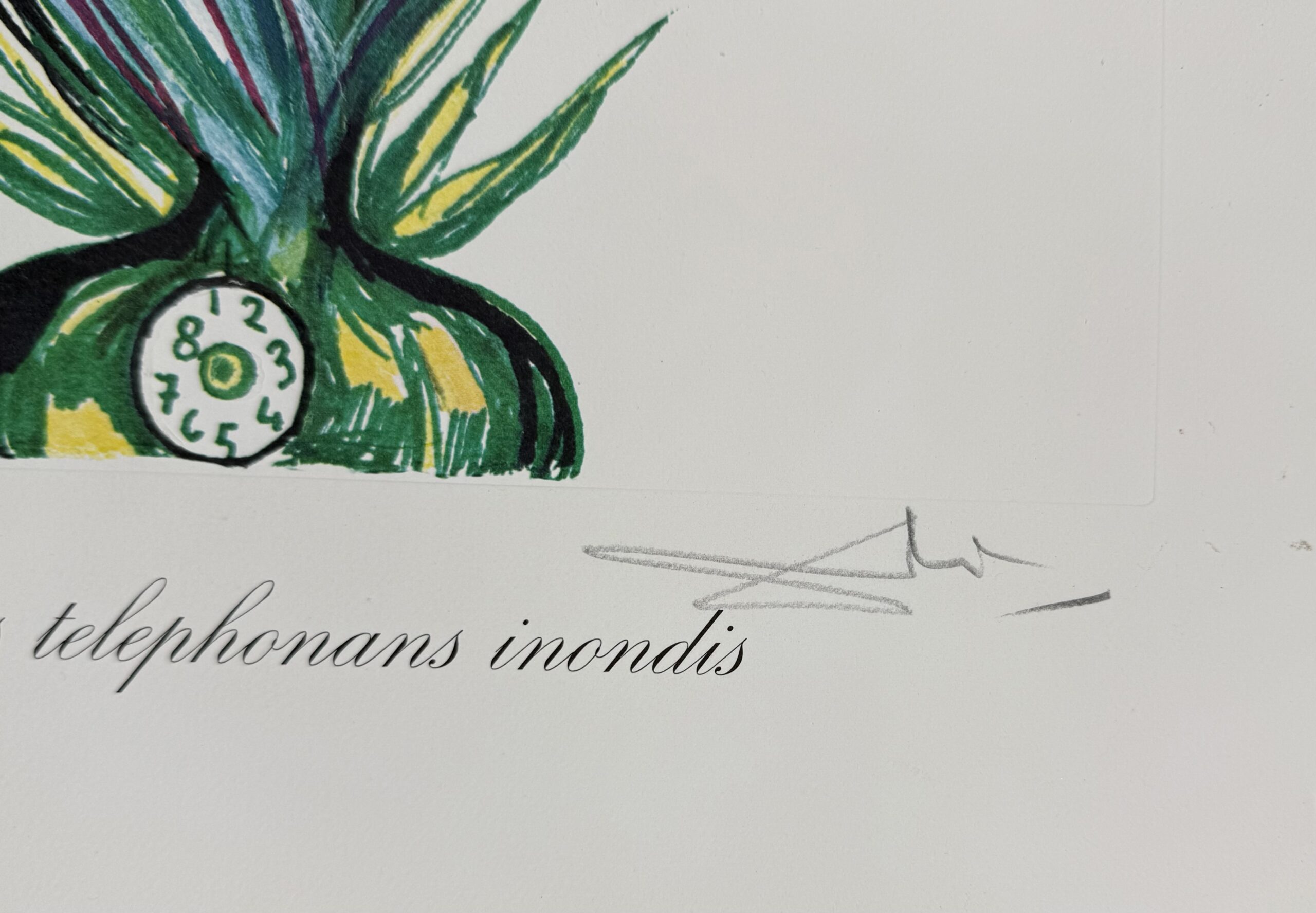 Salvador Dali- Narcissus telephonans inondis, 1972 - Image 3