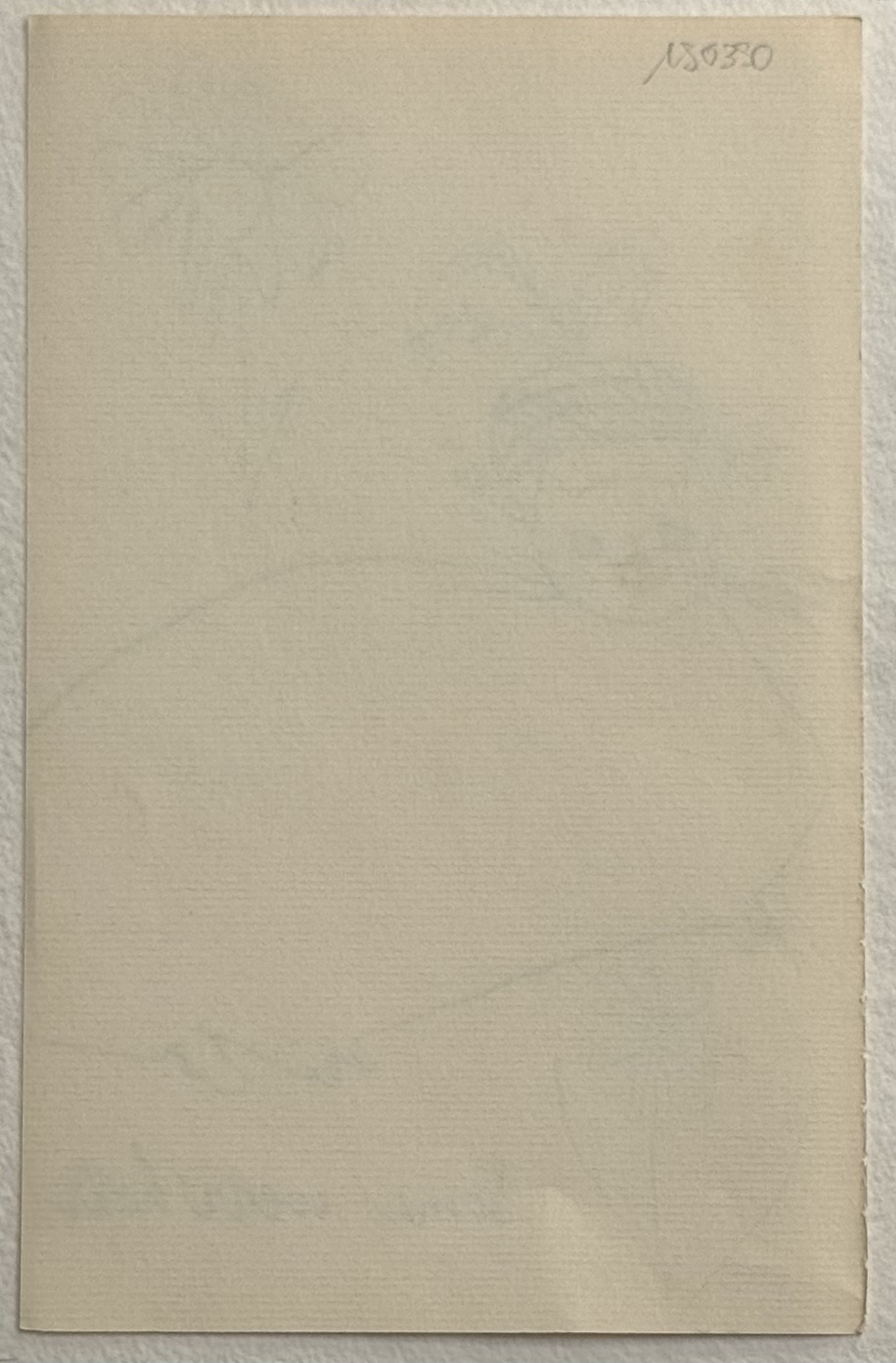 Andy Warhol : Holy Cats - Some wear hats, C. 1957 - Image 3