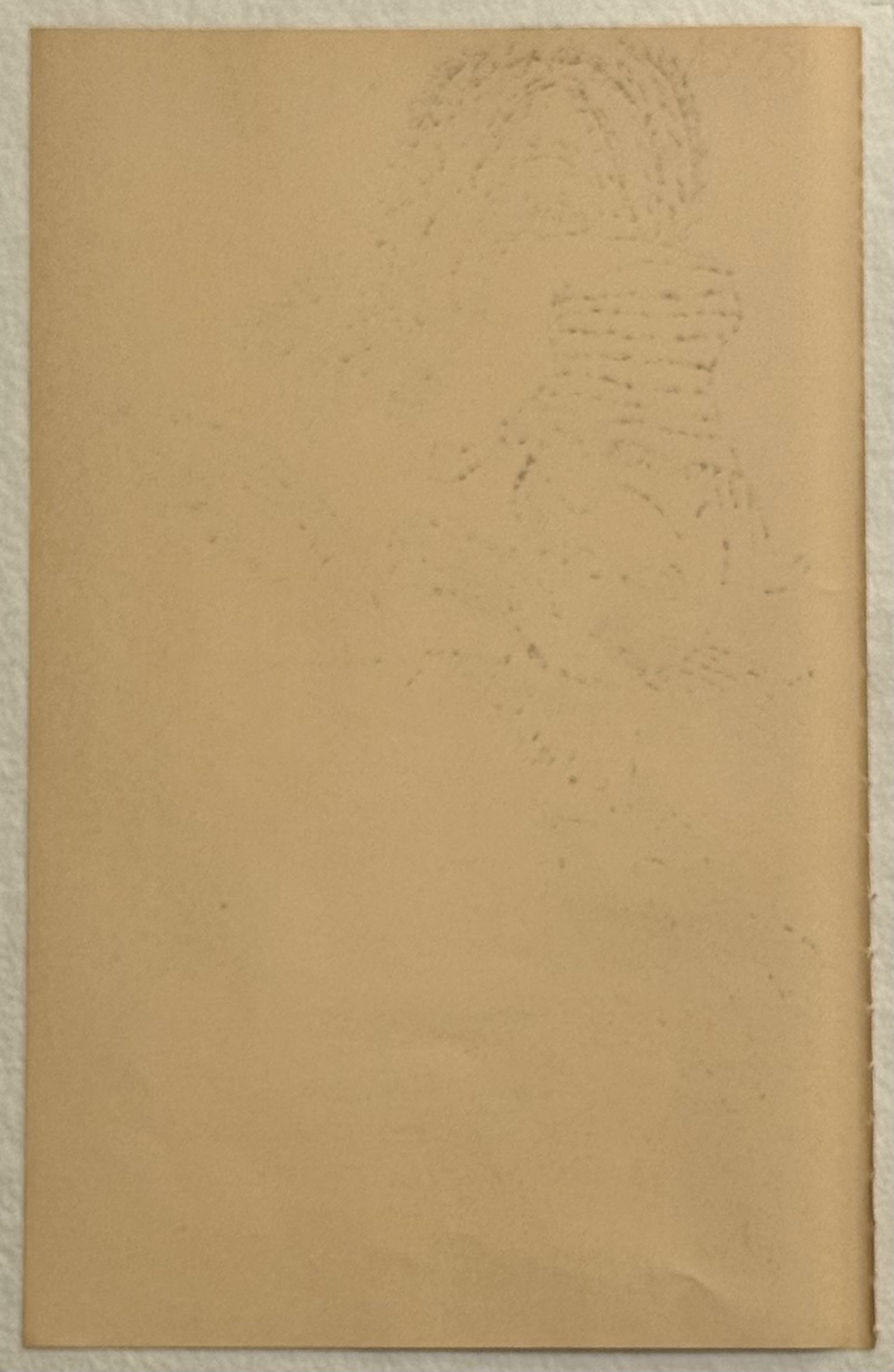 Andy Warhol : Holy Cats, C. 1957 - Image 2