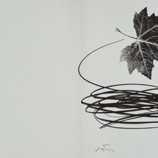 Antoni Tapies : Neujahrskarte der Erker-Galerie, 1975