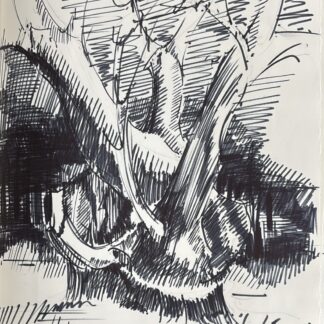 Claude Troin : Le Châtaignier, c. 1967 (Black felt-tip pen)