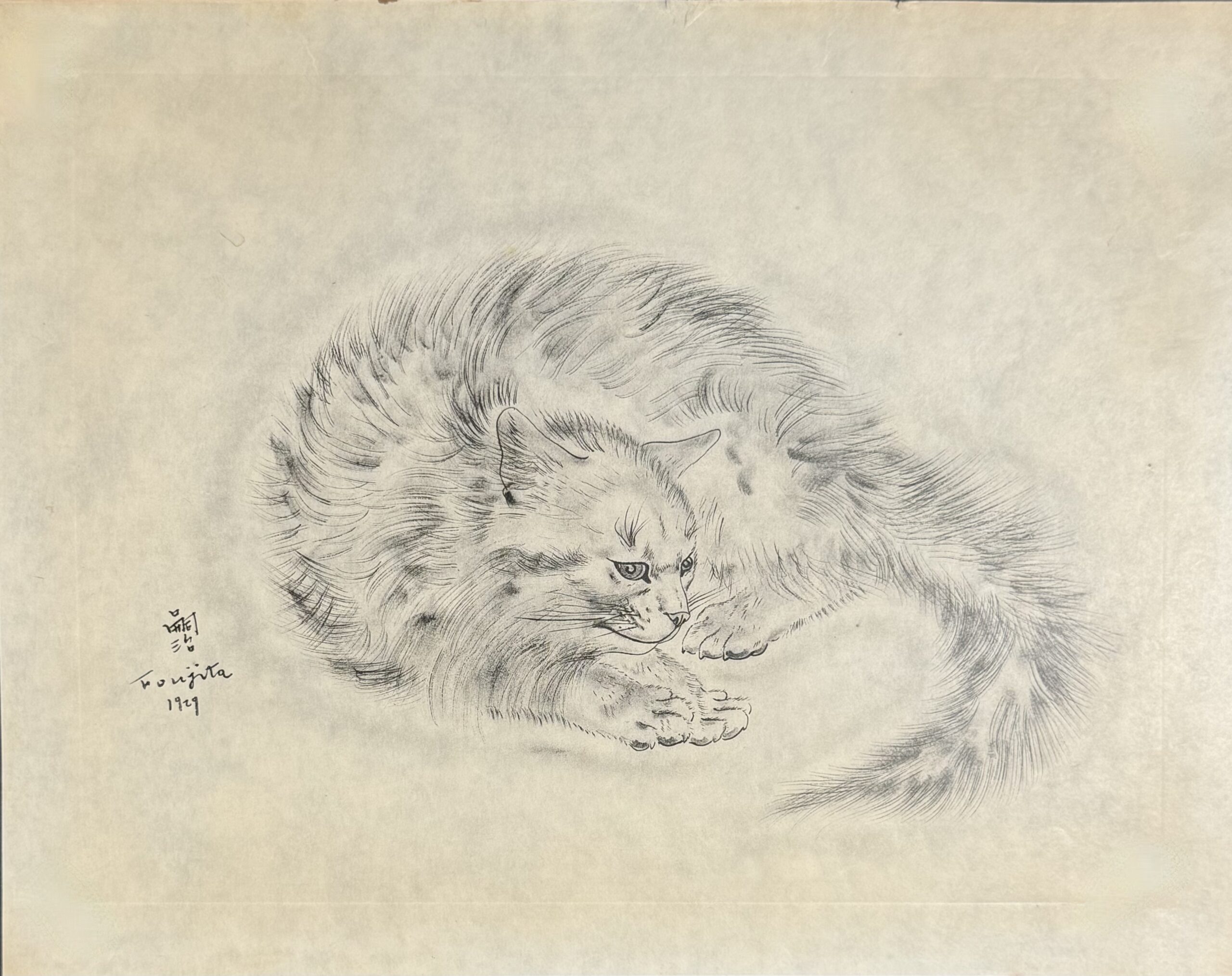 Foujita, Reclining Cat from A Book of Cats, 1929–1930 — collotype on Japan vellum, suite of no more than 500, Covici Friede, Buisson II.30.127.