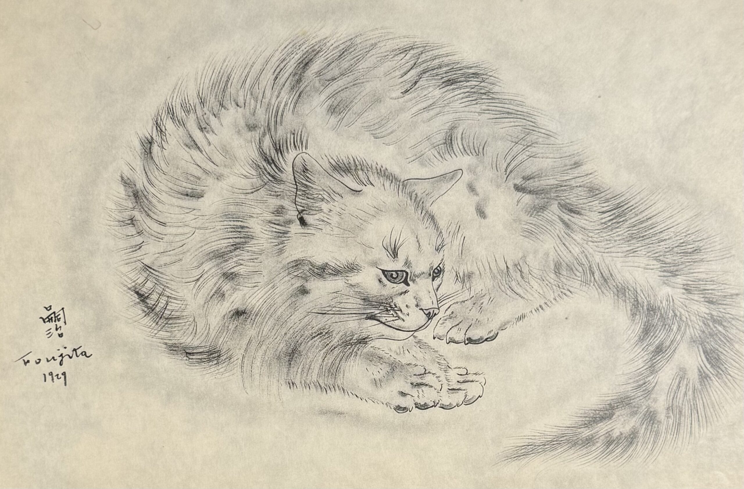 Foujita : Reclining Cat, plate from A Book of Cats, 1929 (on Japan vellum) - Image 4