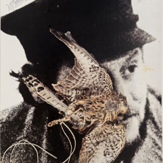 VOSTELL Wolf : Die Fluxisten sind die Falken der Kunstgeschichte, 1979 (Hand Signed)