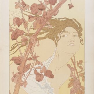 Henry Detouche - L'Estampe Moderne : Dans les ronces, 1898