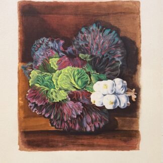 Moïse KISLING (after) : Cabbages and Garlic, 1954